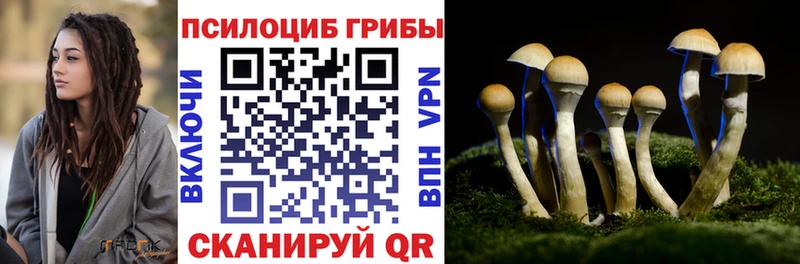 как найти Ува Псилоцибиновые грибы мухоморы